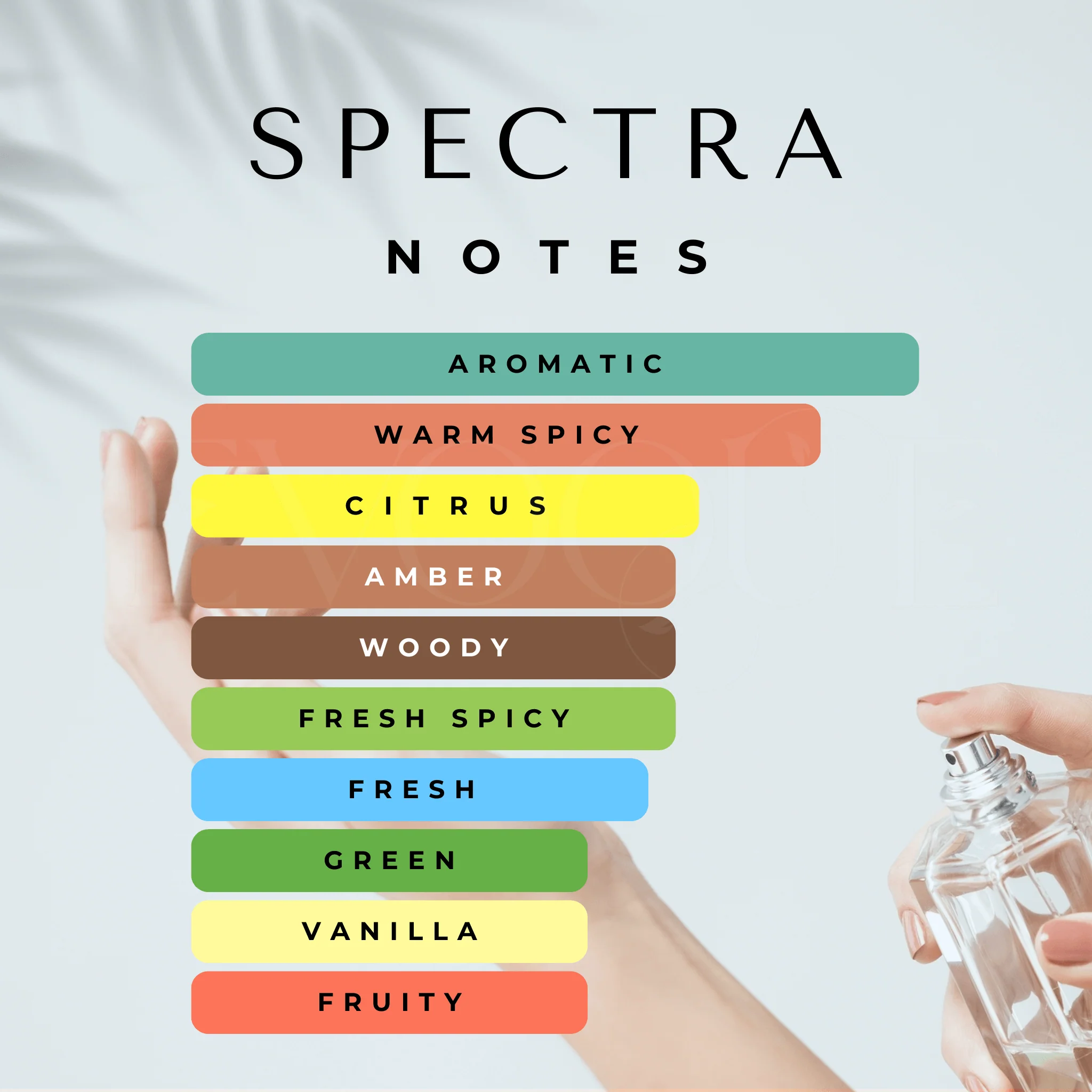 Spectra - Best Male Perfume - Image 5